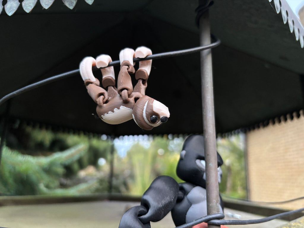 Mossy, Drømmehænger-dovendyret fra Den Hviskende Jungle