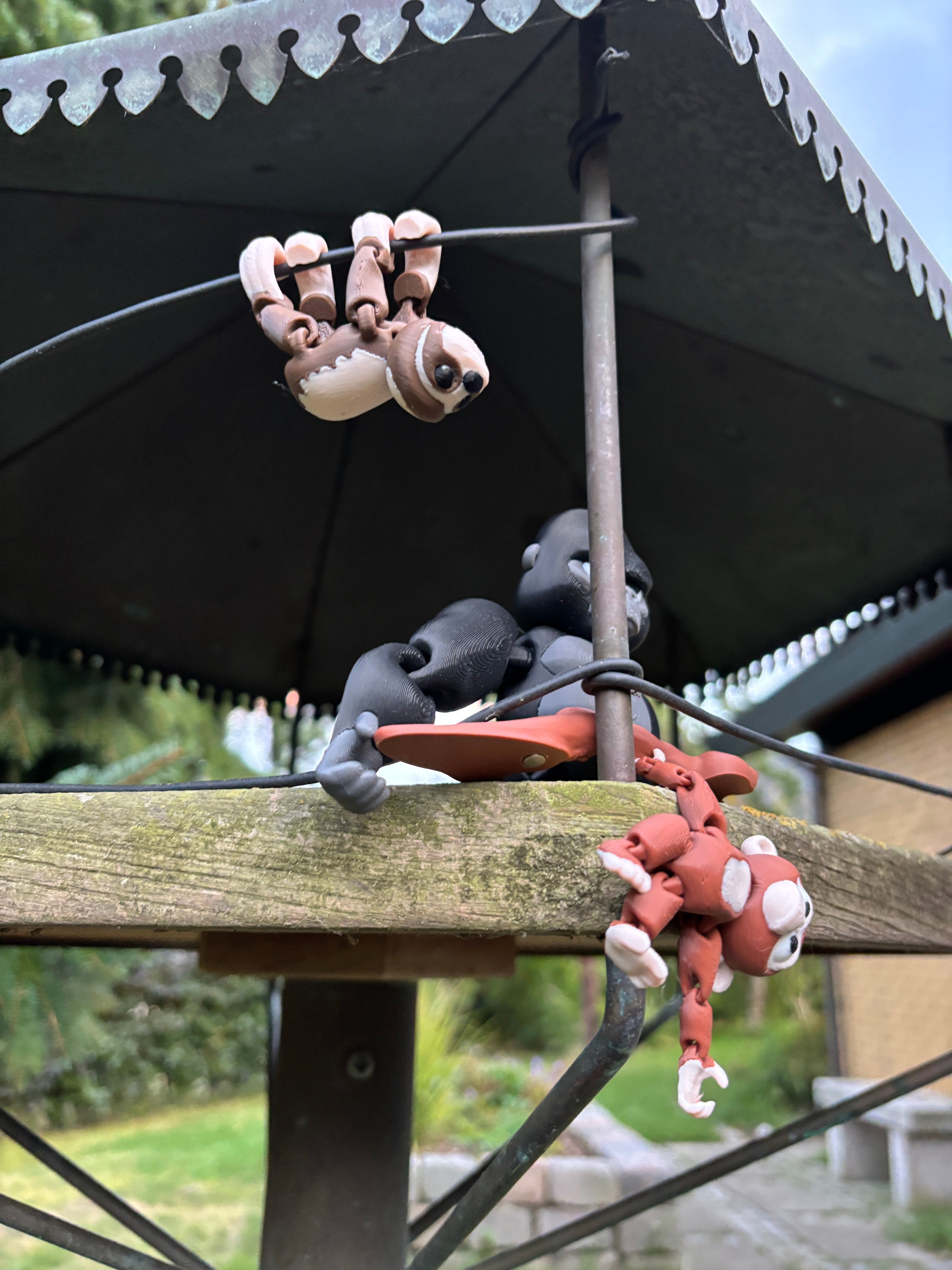 Mossy, Drømmehænger-dovendyret fra Den Hviskende Jungle