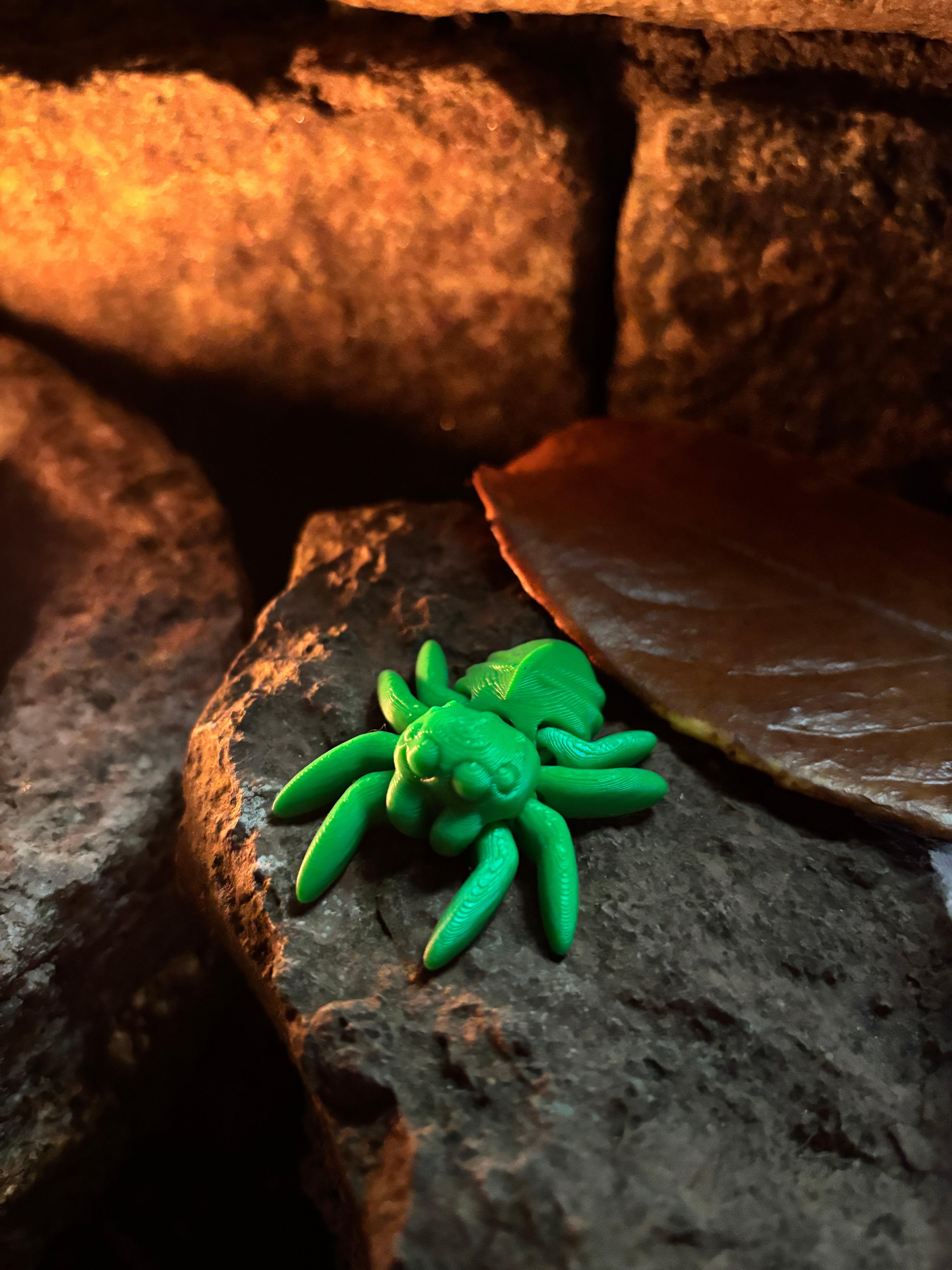 Trickletide Spindel-edderkopperne – græskarmarkens hemmelighedsvogtere