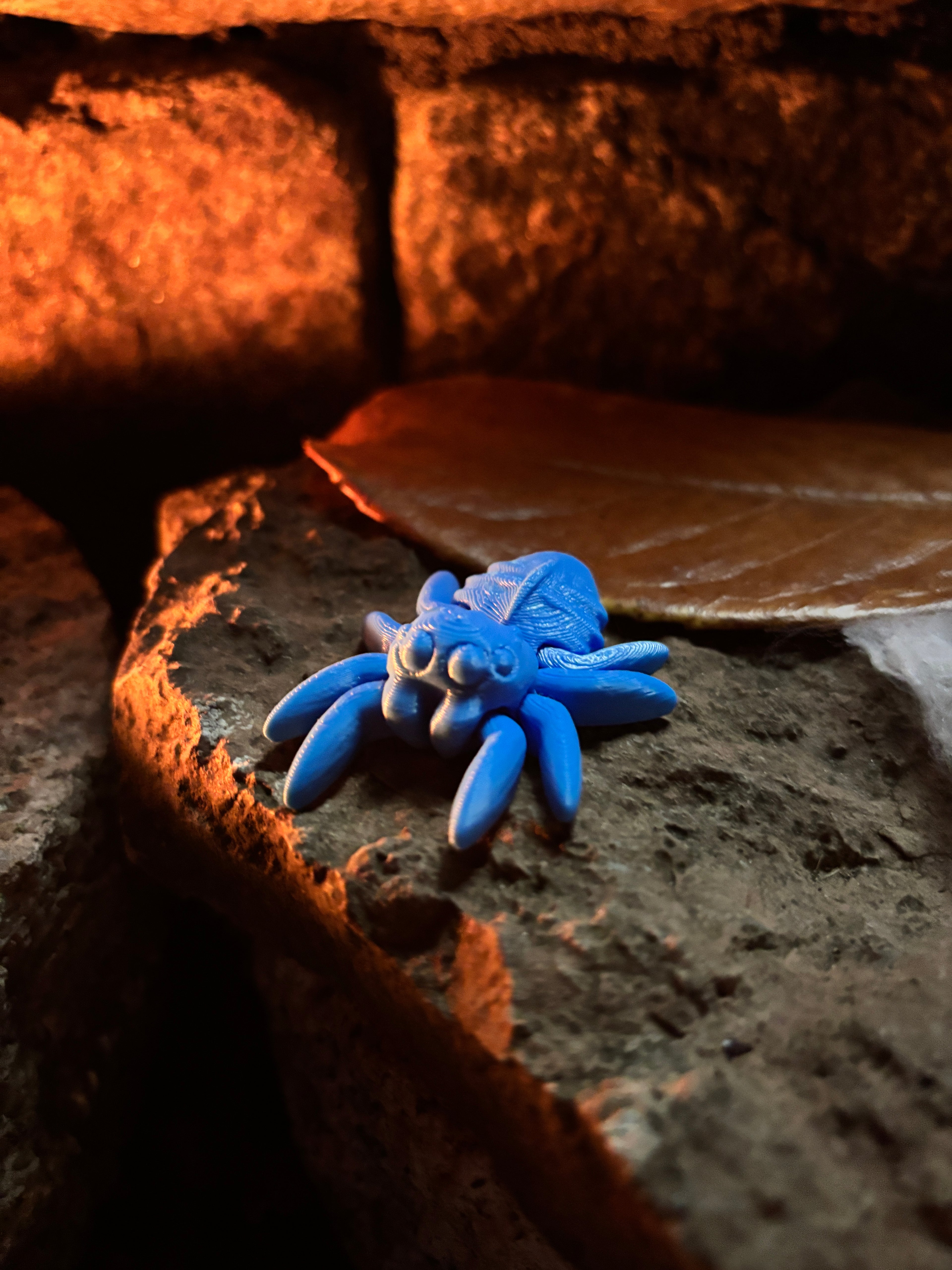 Trickletide Spindel-edderkopperne – græskarmarkens hemmelighedsvogtere