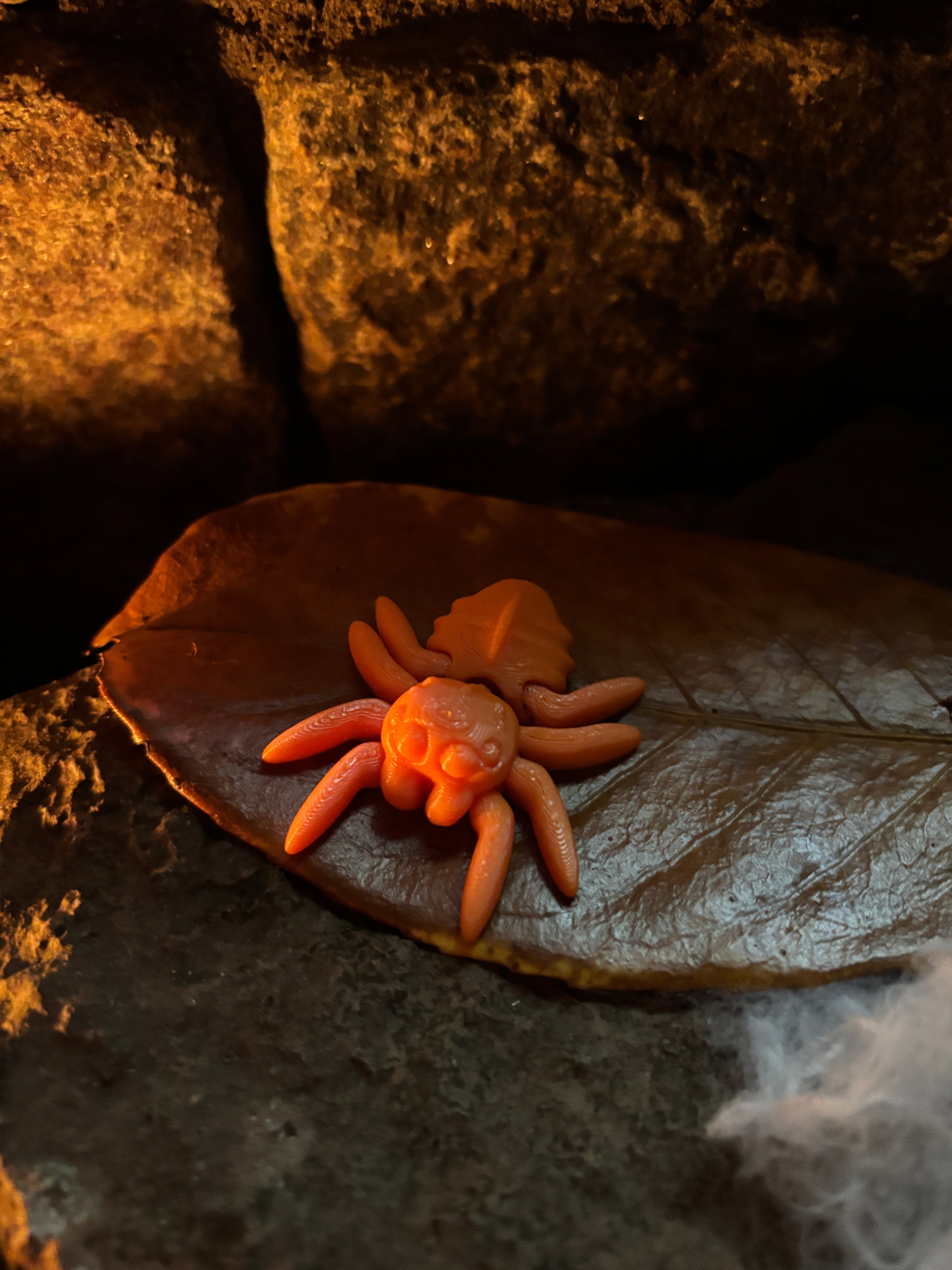 Trickletide Spindel-edderkopperne – græskarmarkens hemmelighedsvogtere