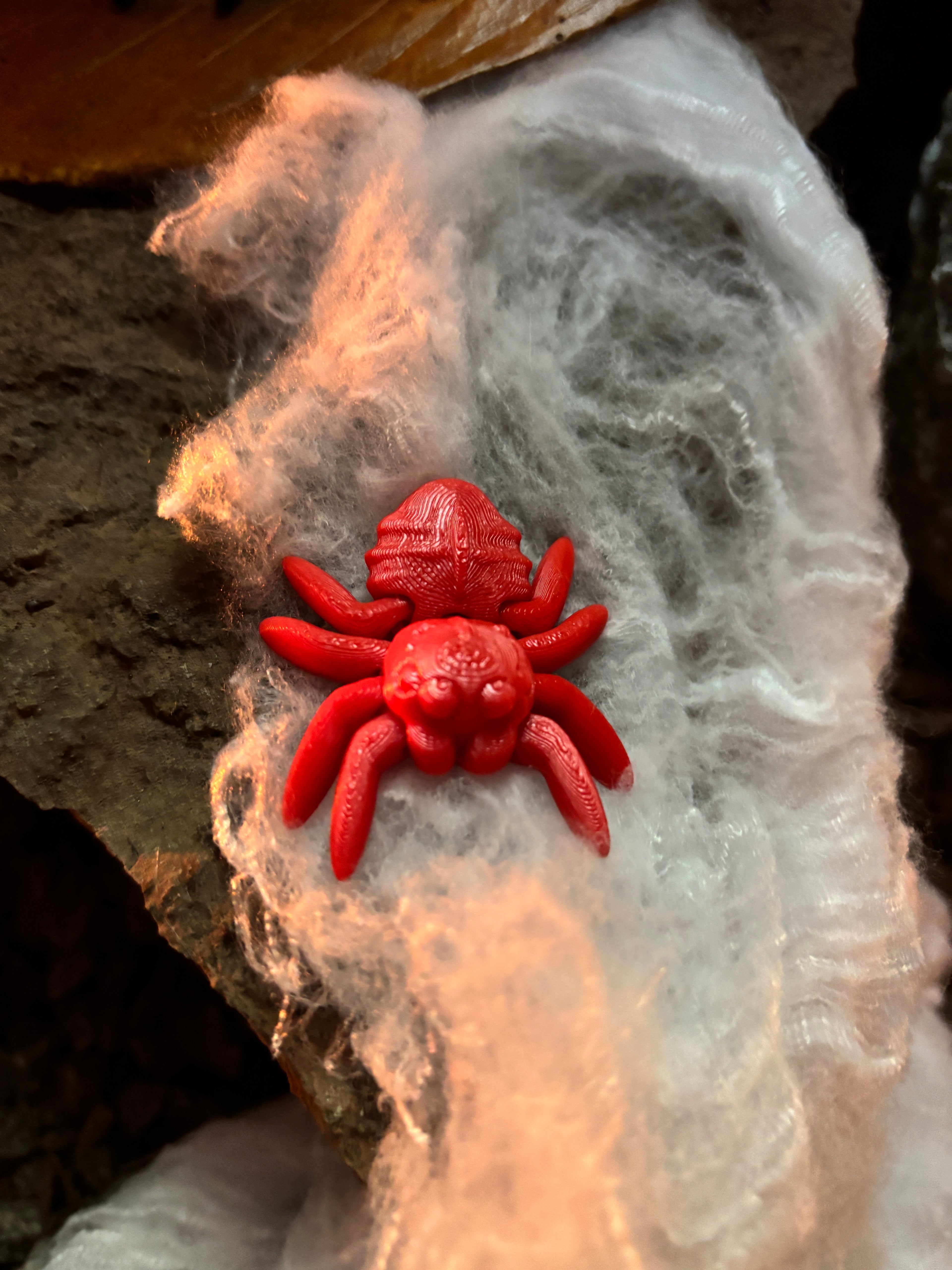 Trickletide Spindel-edderkopperne – græskarmarkens hemmelighedsvogtere