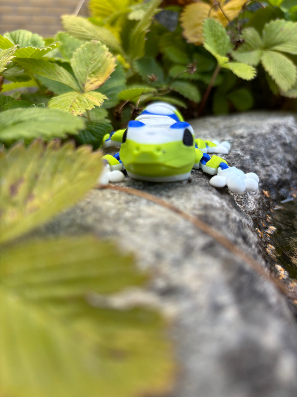 Zippy, Stribehalet Vidunder gekko fra Den Hviskende Jungle