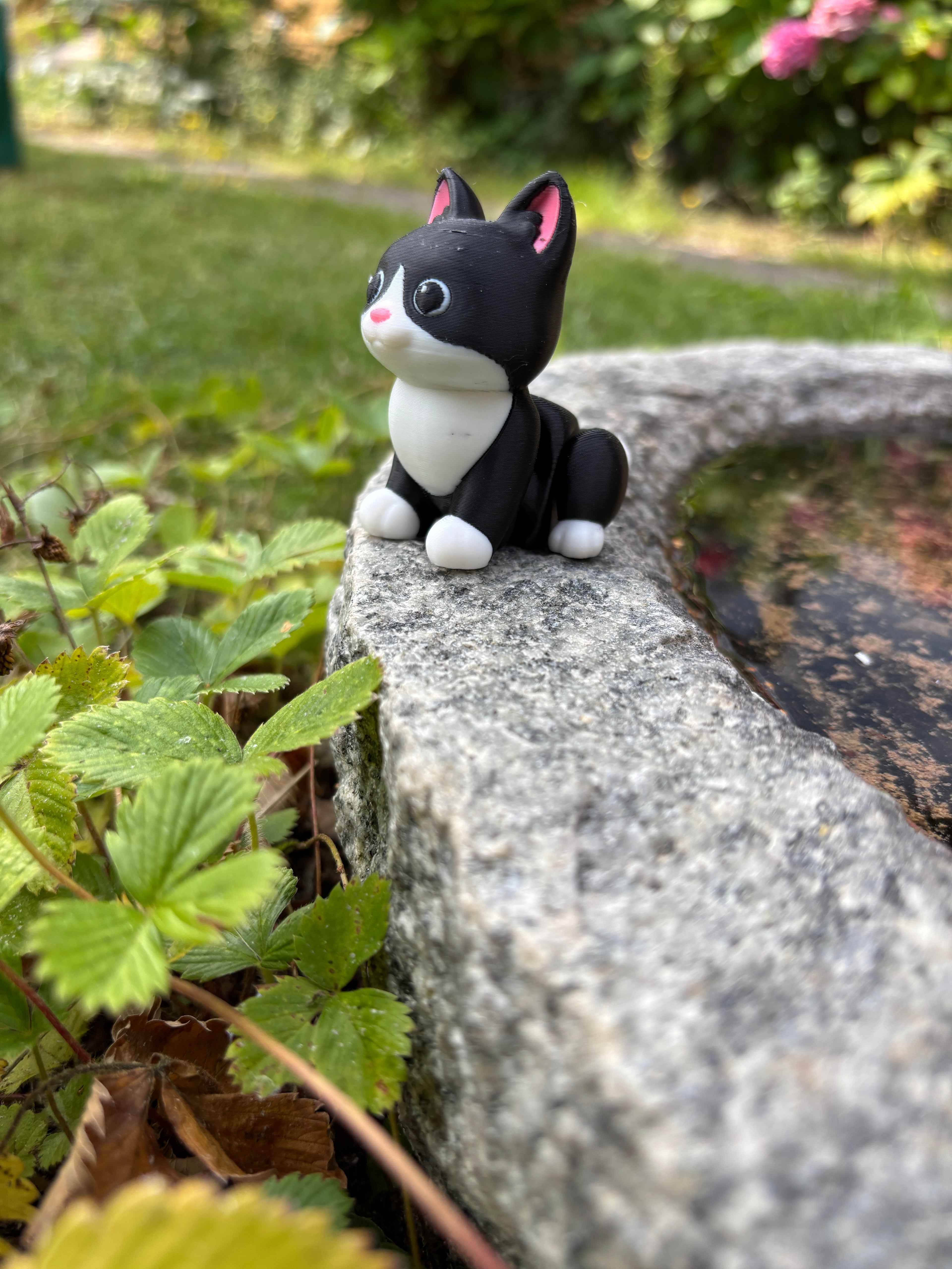 Mittens, Midnatsbibliotekets Kat fra Whimsey’s Vindue