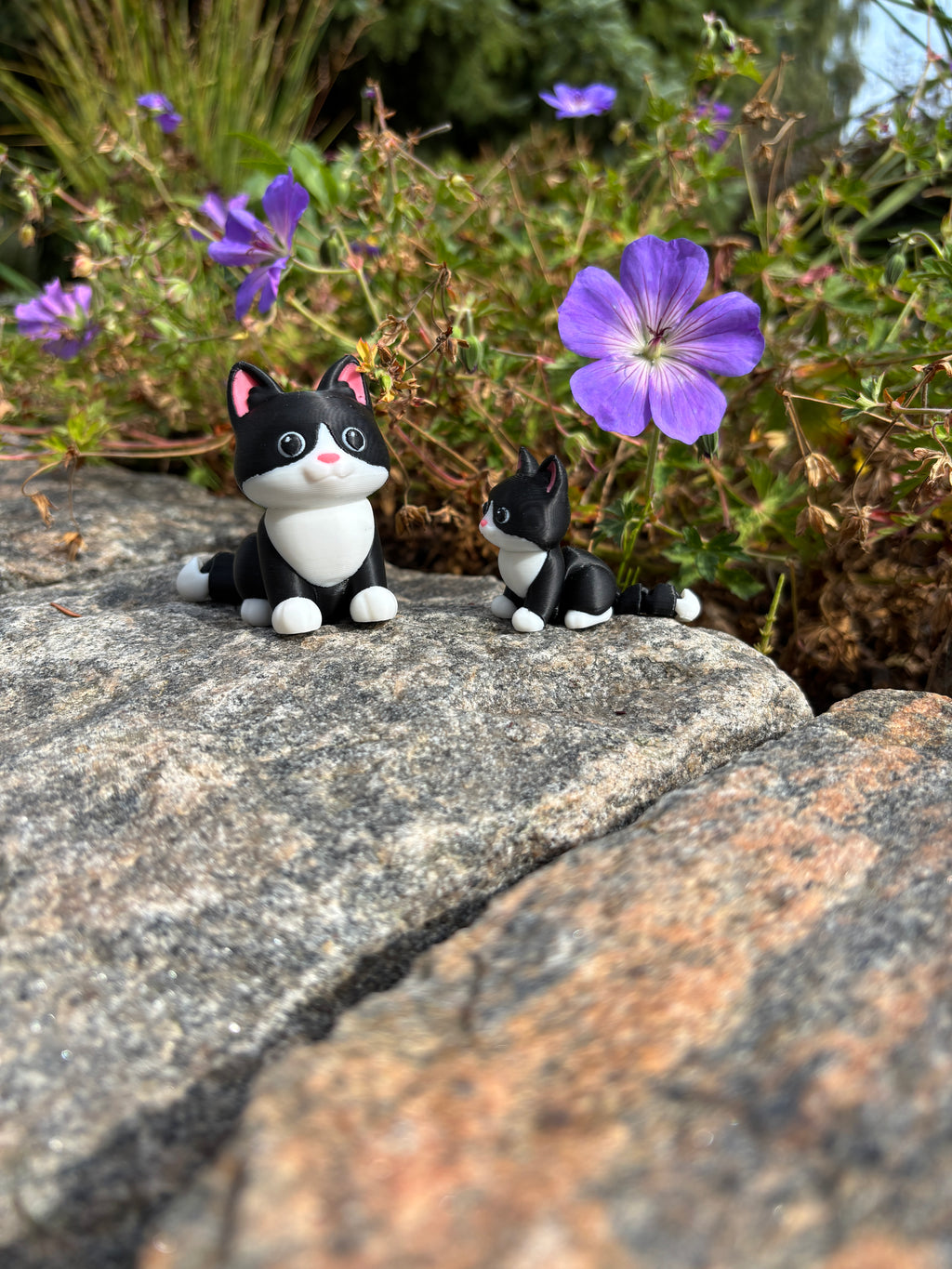 Mittens, Midnatsbibliotekets Kat fra Whimsey’s Vindue