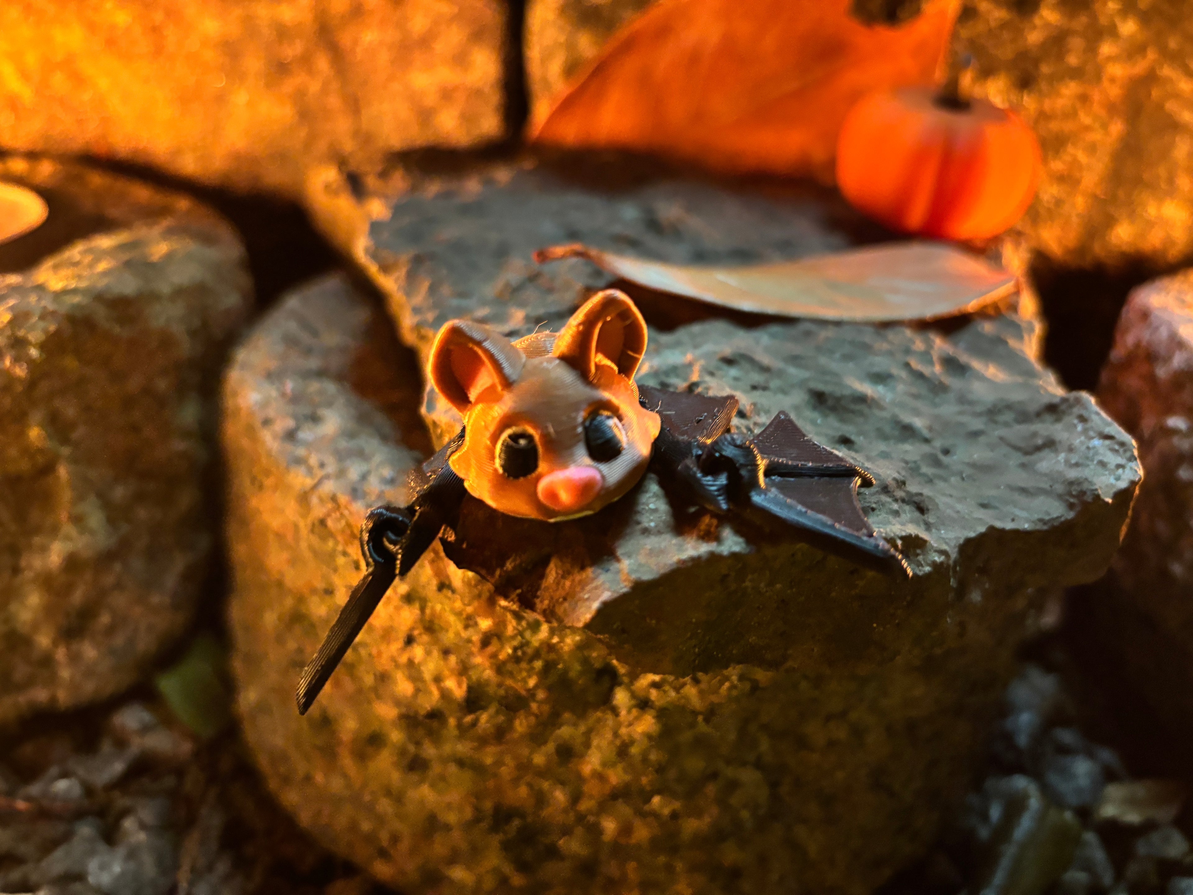 Pivsorte Midnat (kaldet “Piv” blandt venner)