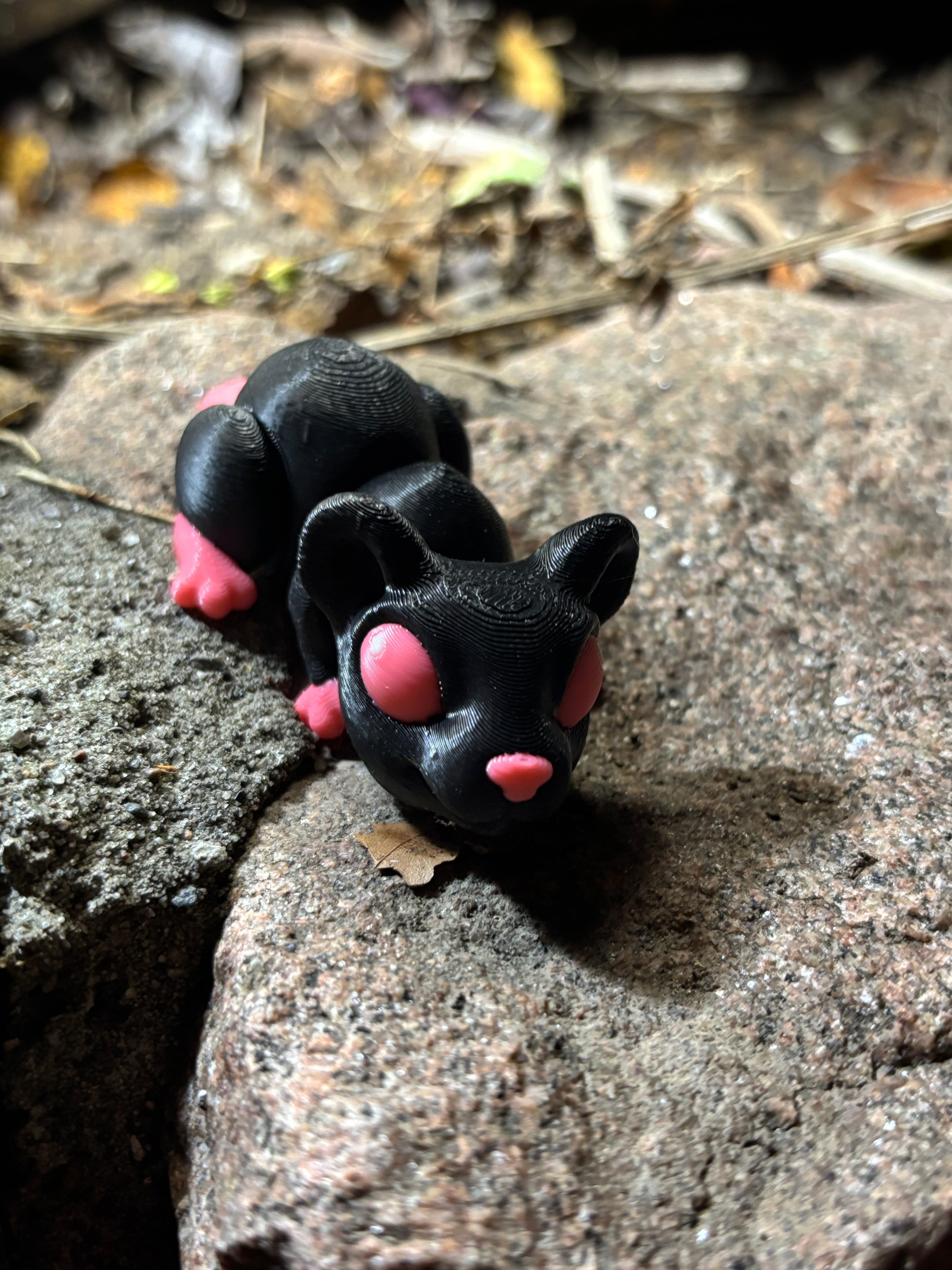 Cinderwick – Lanternerotten