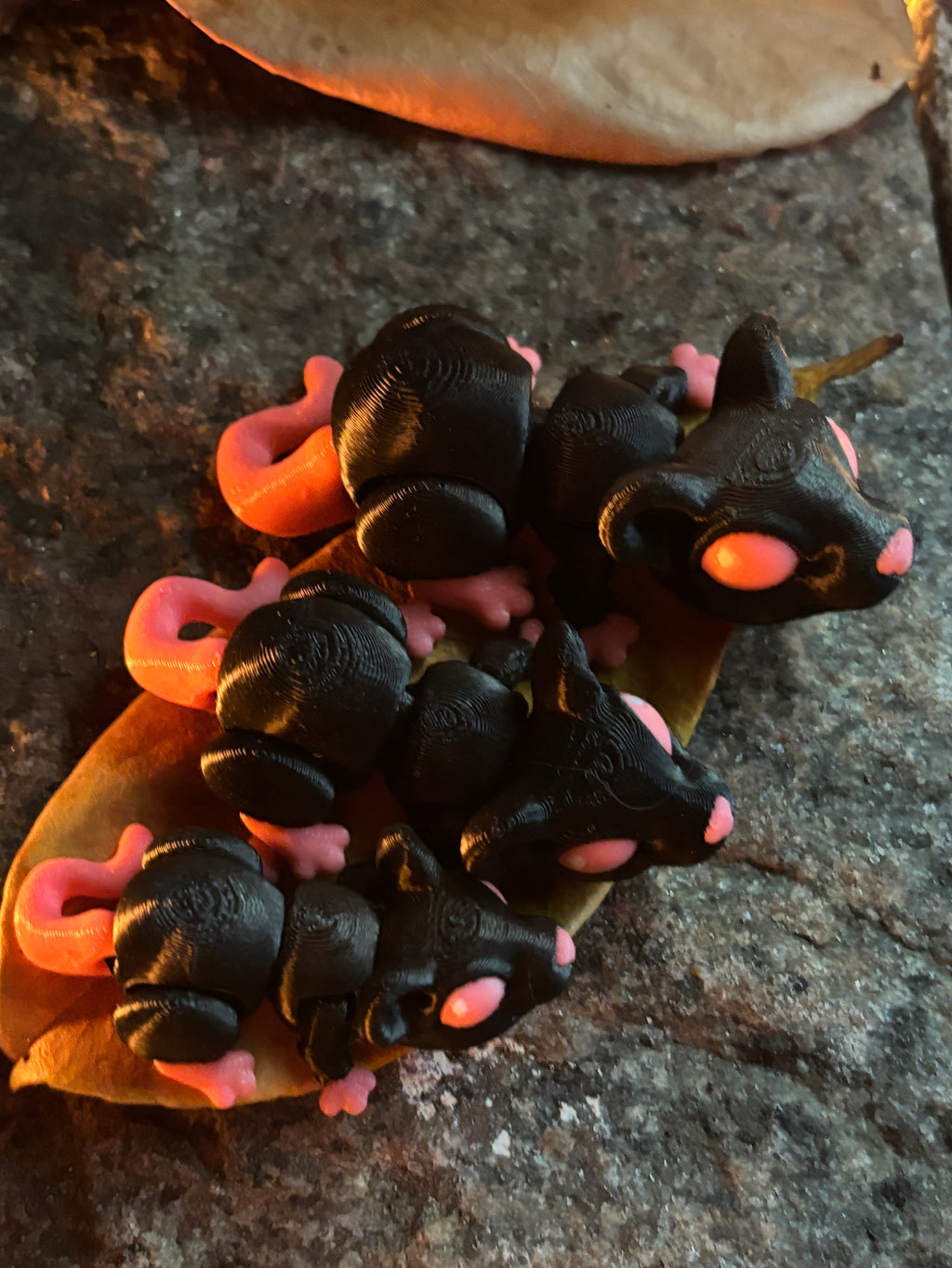 Cinderwick – Lanternerotten