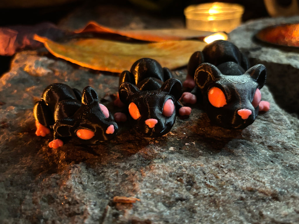 Cinderwick – Lanternerotten