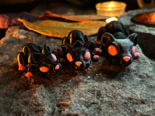 Cinderwick – Lanternerotten