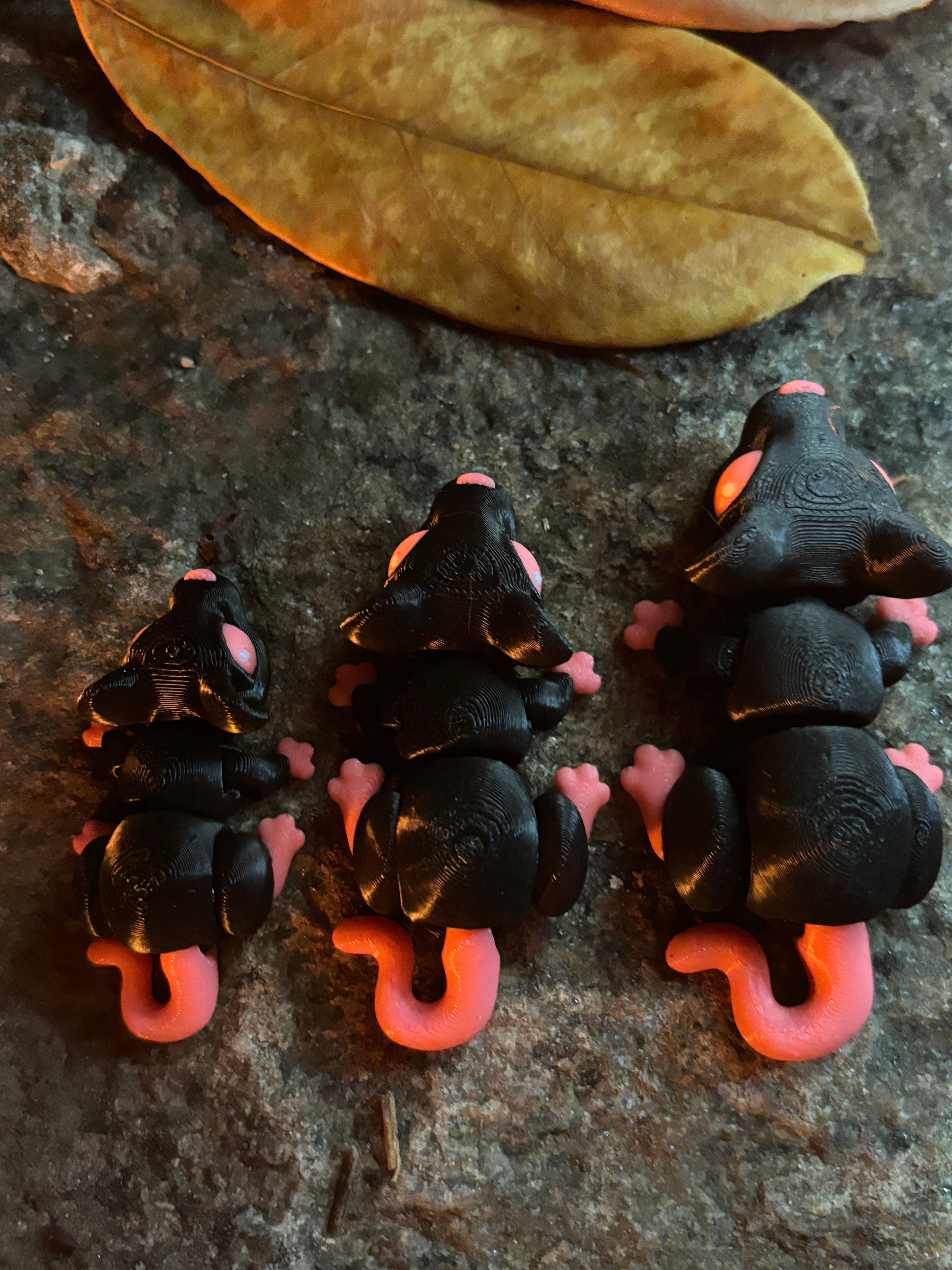 Cinderwick – Lanternerotten