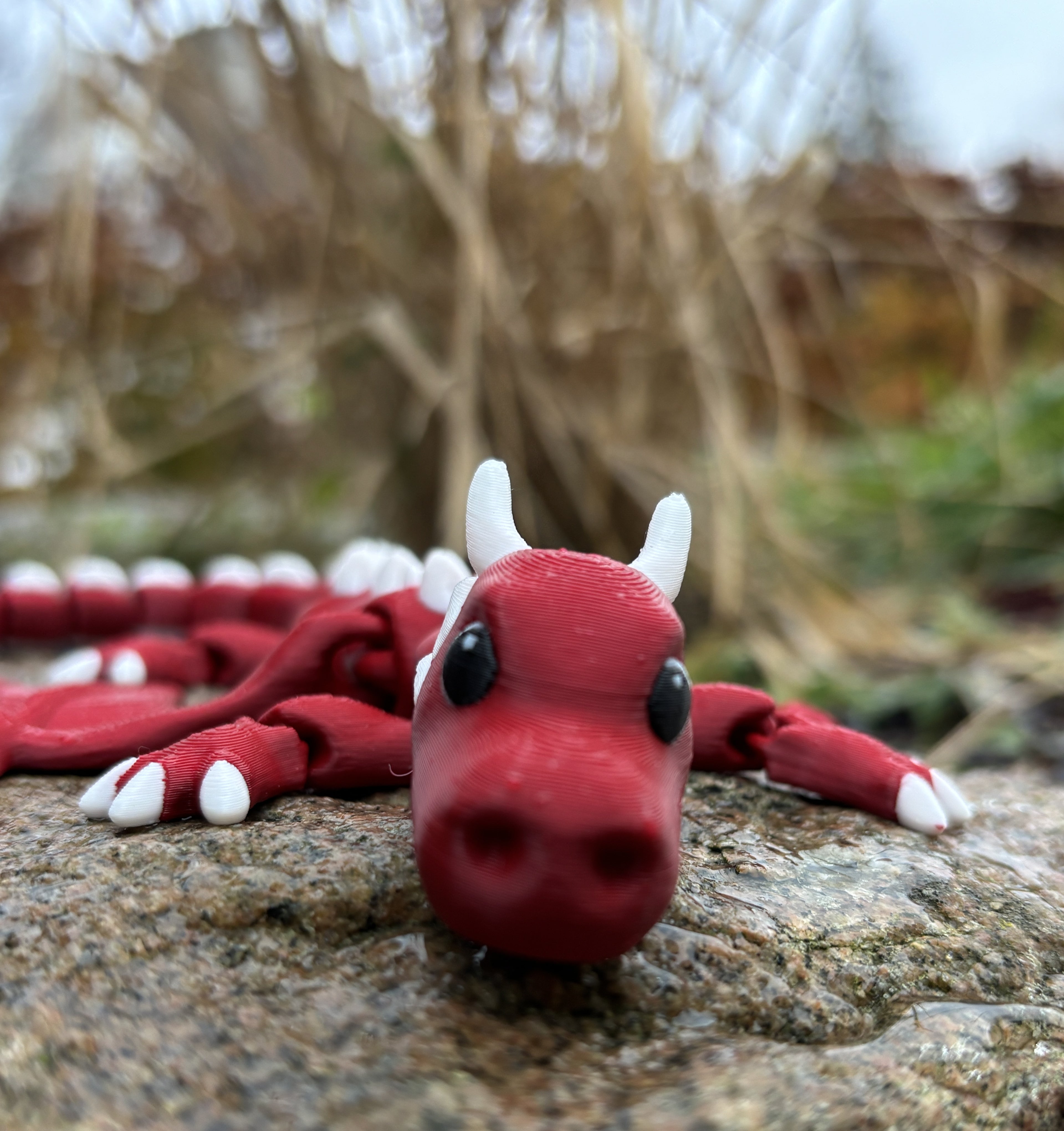 Tåge Tårnets Magiske Drager – Glimmersvinge, Ildslipse, Dugdanser & Sprigglekams