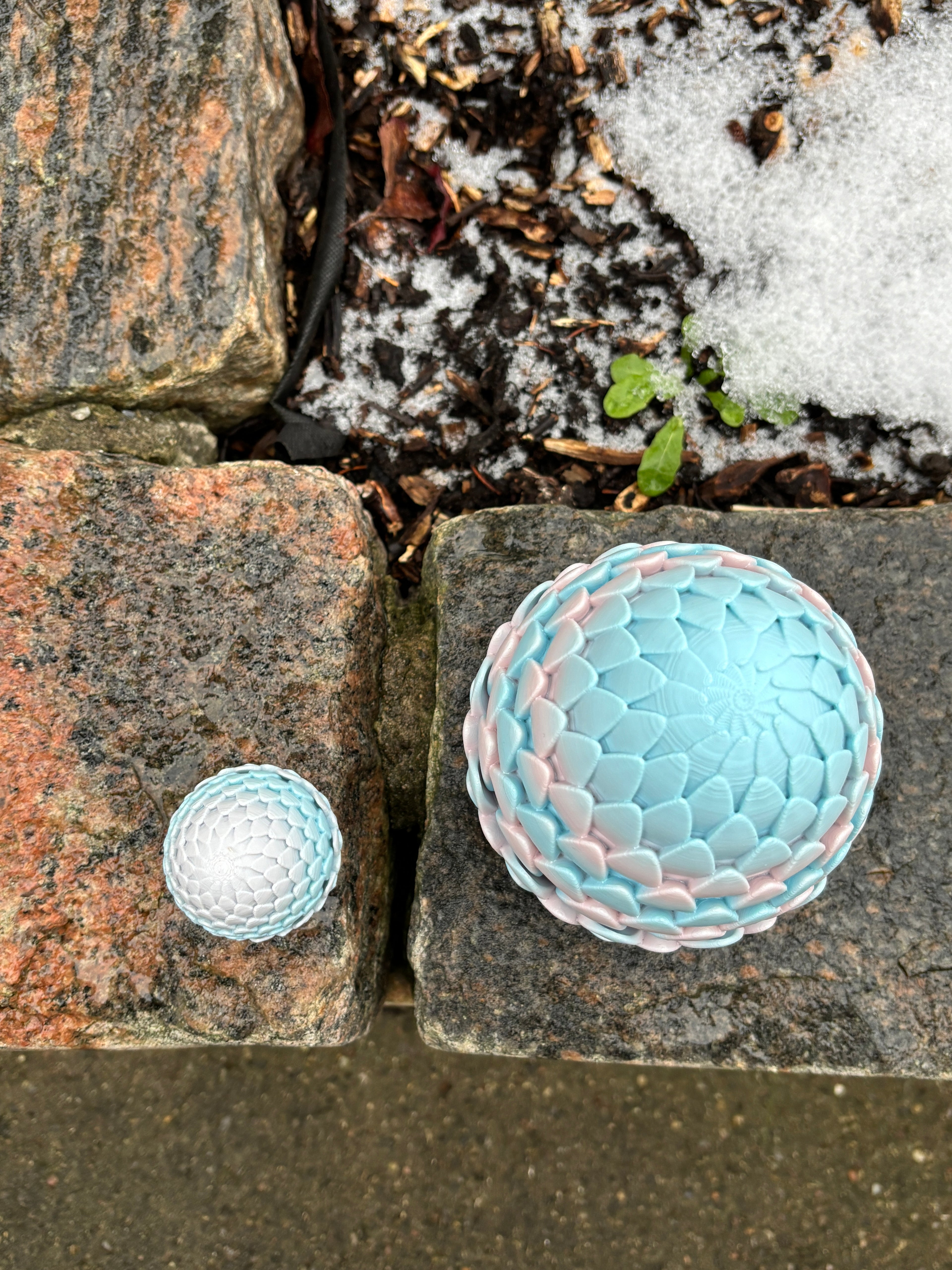 Tåge Tårnets Drageskæl | Det Drømmende Drage æg