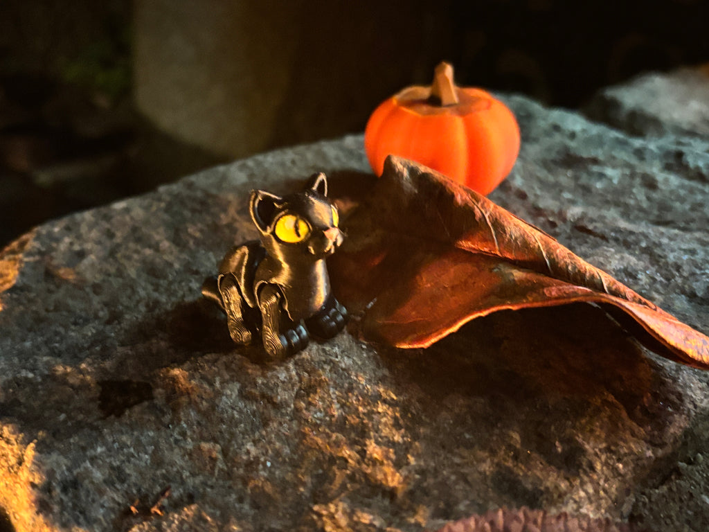 Sortfnis - spøgefuglenes mester