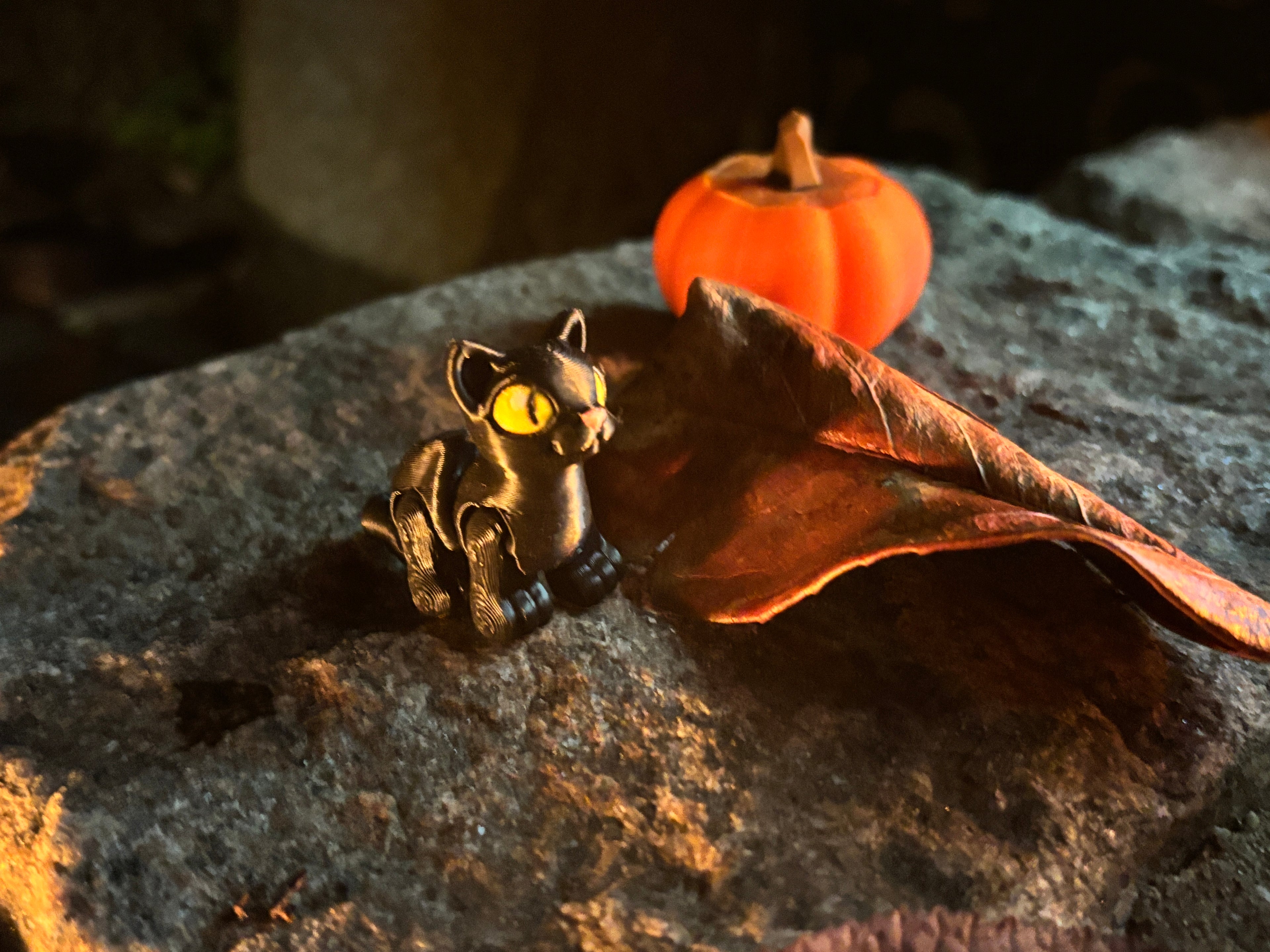 Sortfnis - spøgefuglenes mester