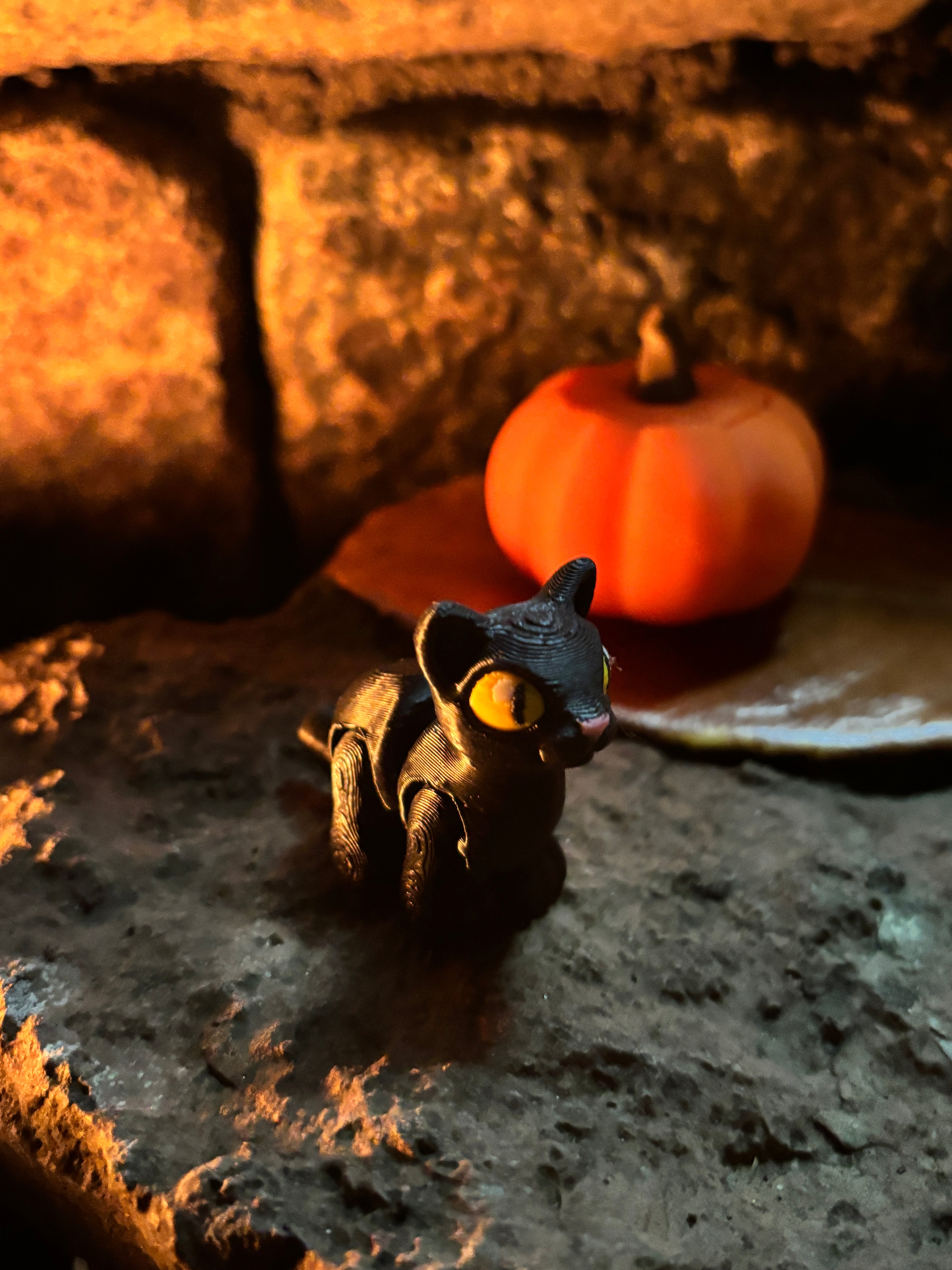 Sortfnis - spøgefuglenes mester