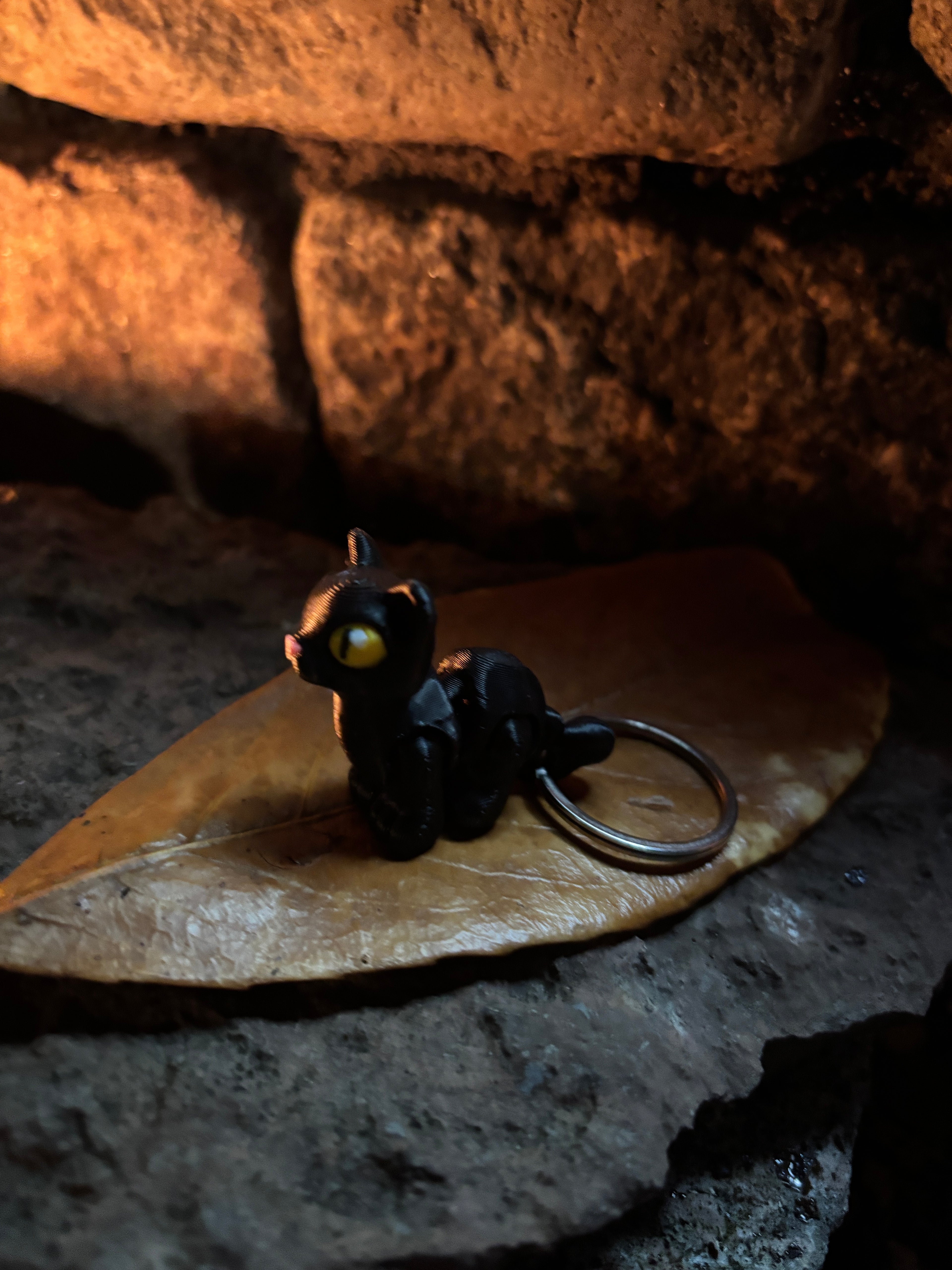 Sortfnis - spøgefuglenes mester