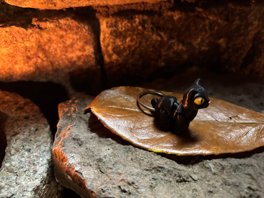Sortfnis - spøgefuglenes mester