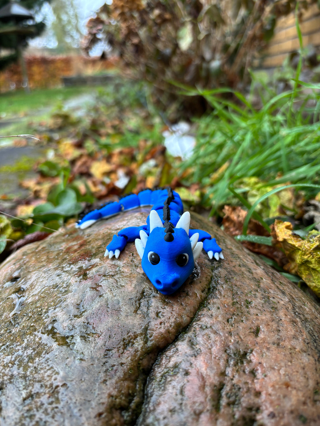 Drageungerne fra Tåge Tårnet – Bobleput Snirkehale, Gnistre Pip Flammestump, Tusluna Drømmestråle & Spirekvist Bladkrøl