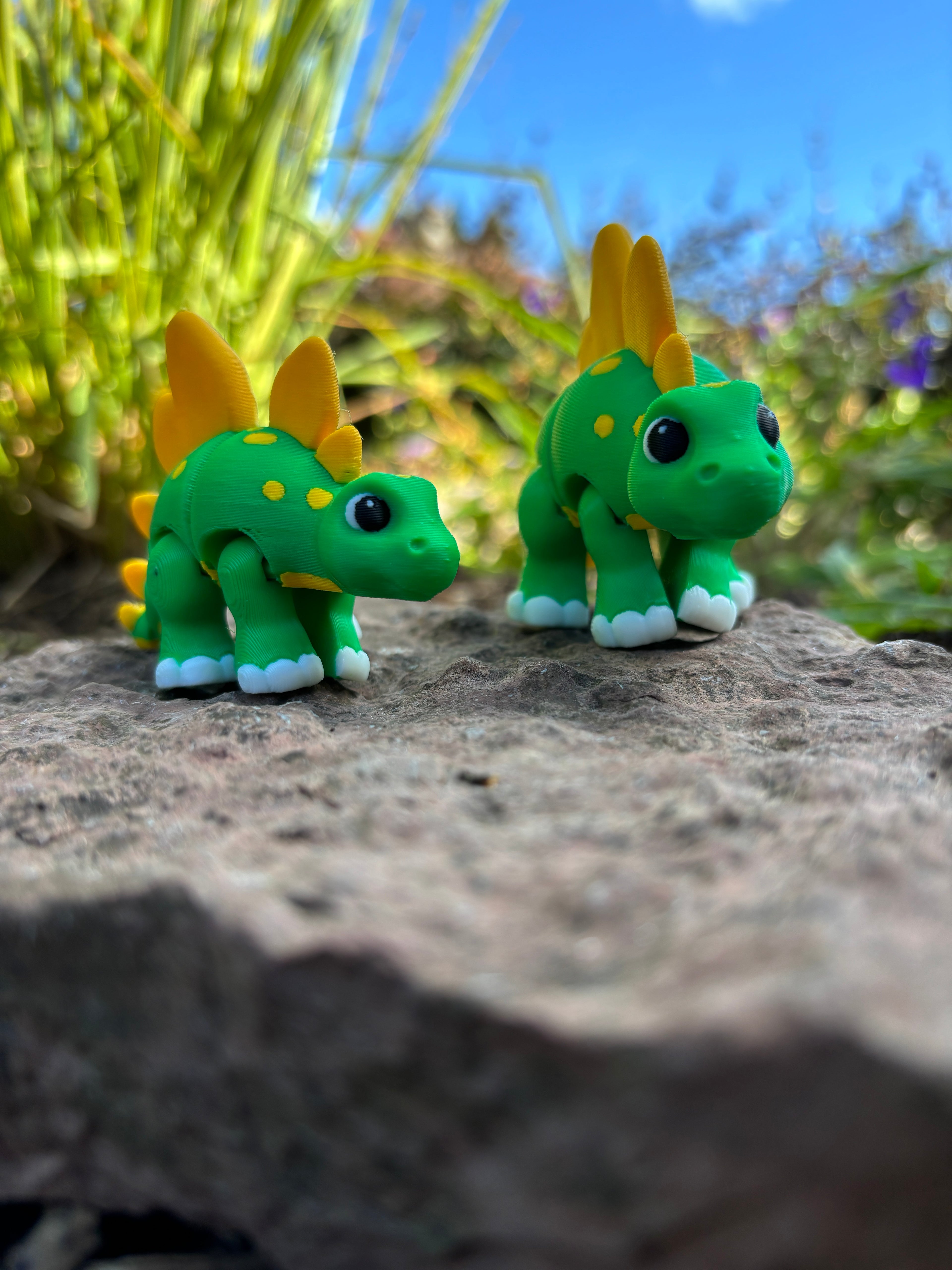 Sunny & Shadow, Spidshale-Stegoerne fra Glimmerbregne-skoven