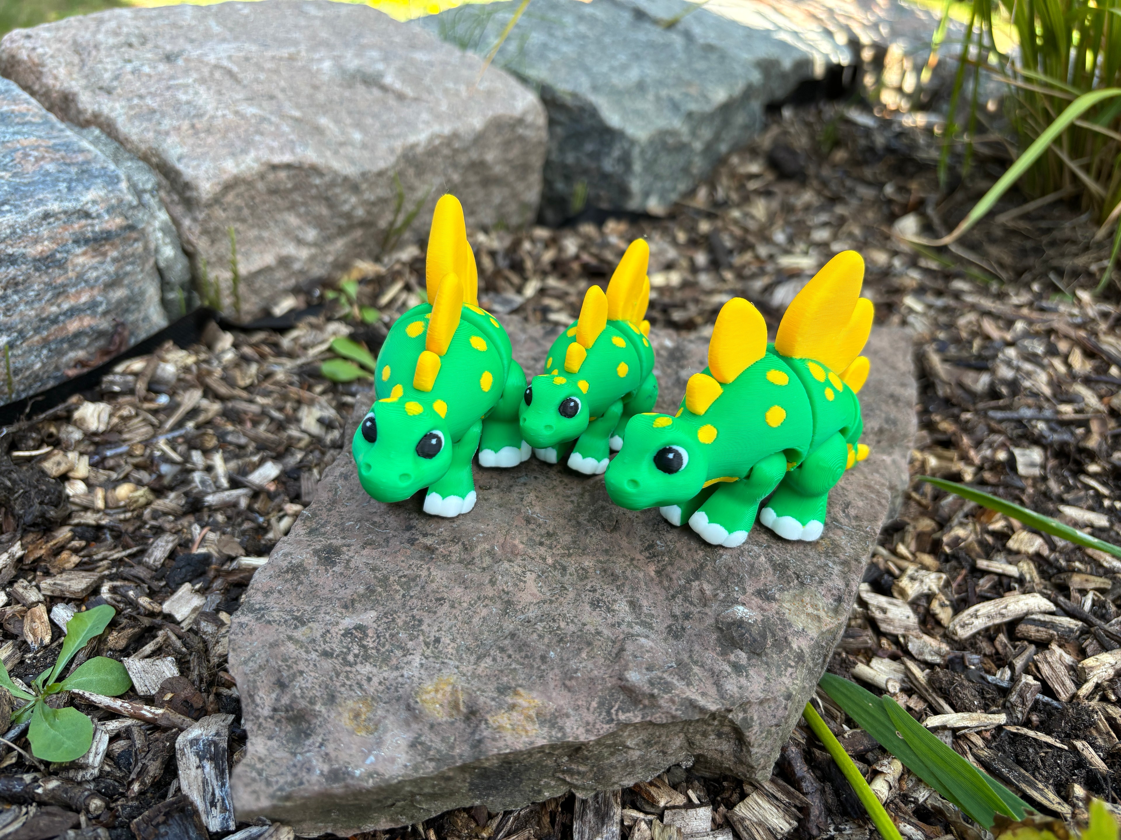 Sunny & Shadow, Spidshale-Stegoerne fra Glimmerbregne-skoven