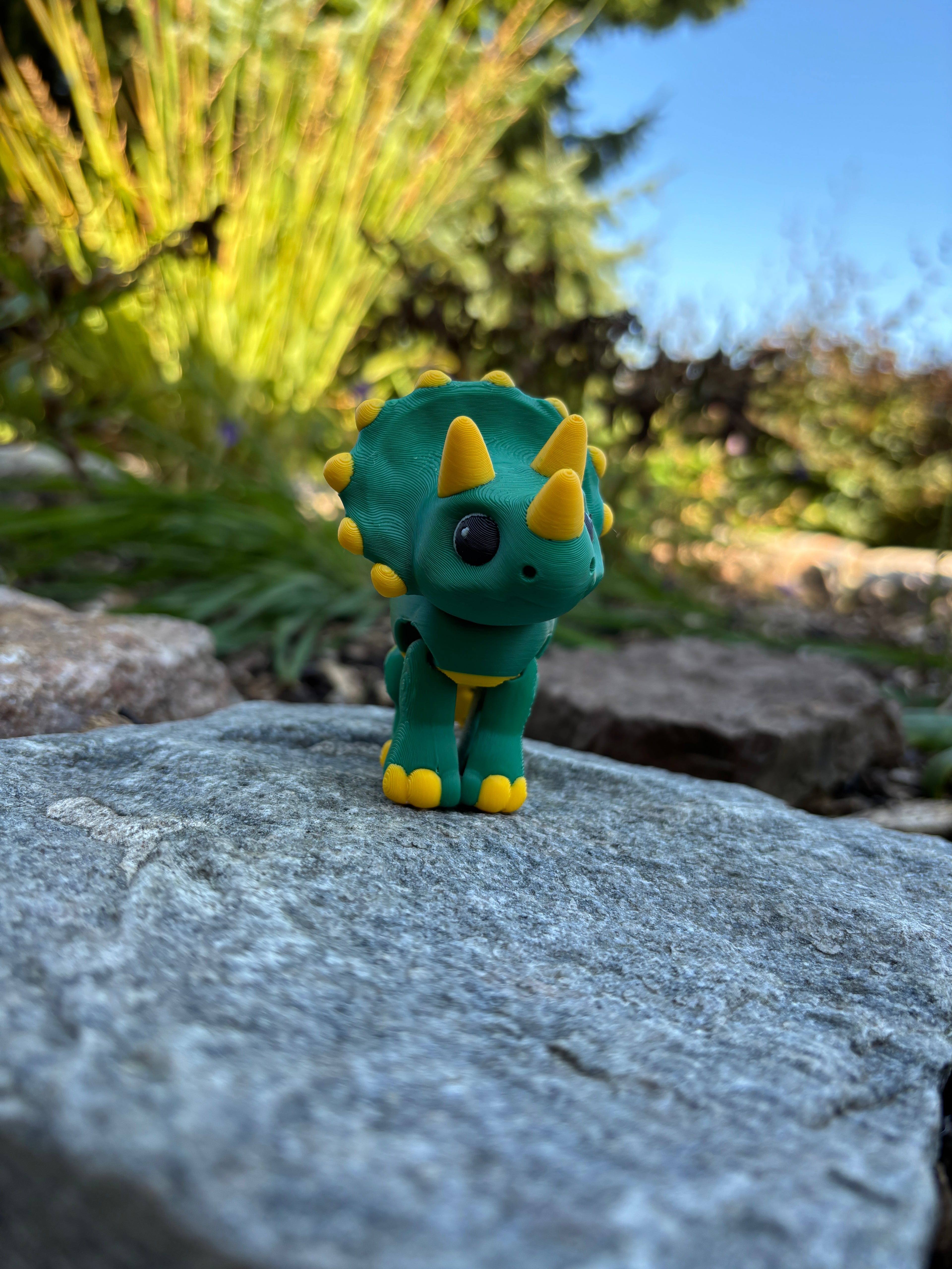 Fnise-Toppens Triceratops-Trio fra Fniseknogle-Dalen