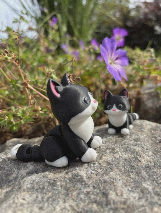 Mittens, Midnatsbibliotekets Kat fra Whimsey’s Vindue