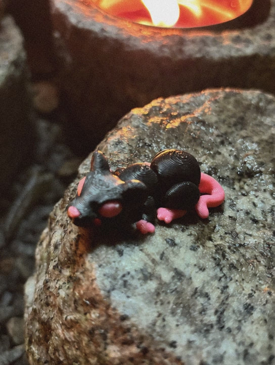 Cinderwick – Lanternerotten