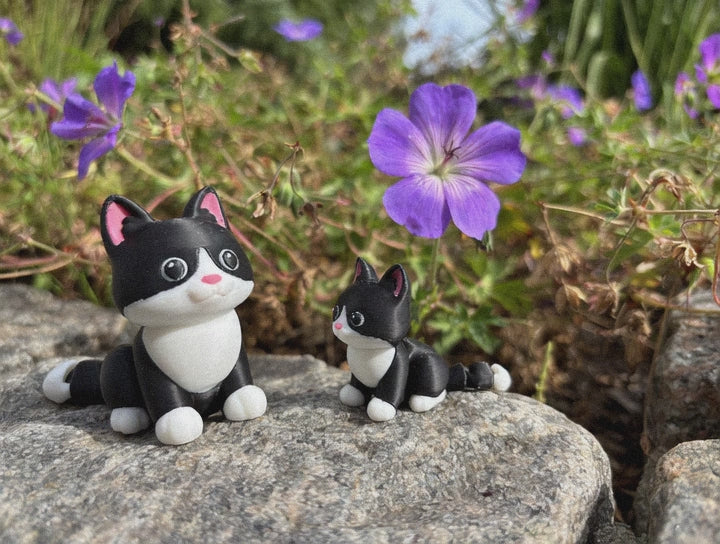 Mittens, Midnatsbibliotekets Kat fra Whimsey’s Vindue