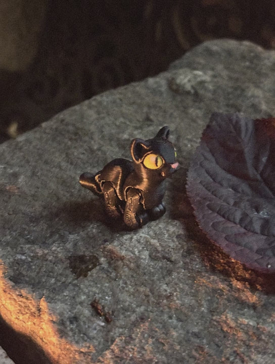 Sortfnis - spøgefuglenes mester